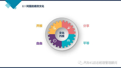 阿里巴巴組織能力建設(shè) 驅(qū)動(dòng)企業(yè)持續(xù)增長(zhǎng)的管理新范式