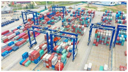 海南前7個(gè)月貨物貿(mào)易進(jìn)出口超1300億元，代理服務(wù)助力亮眼“成績單”